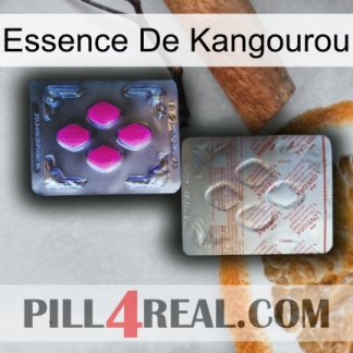 Kangaroo Essence 38